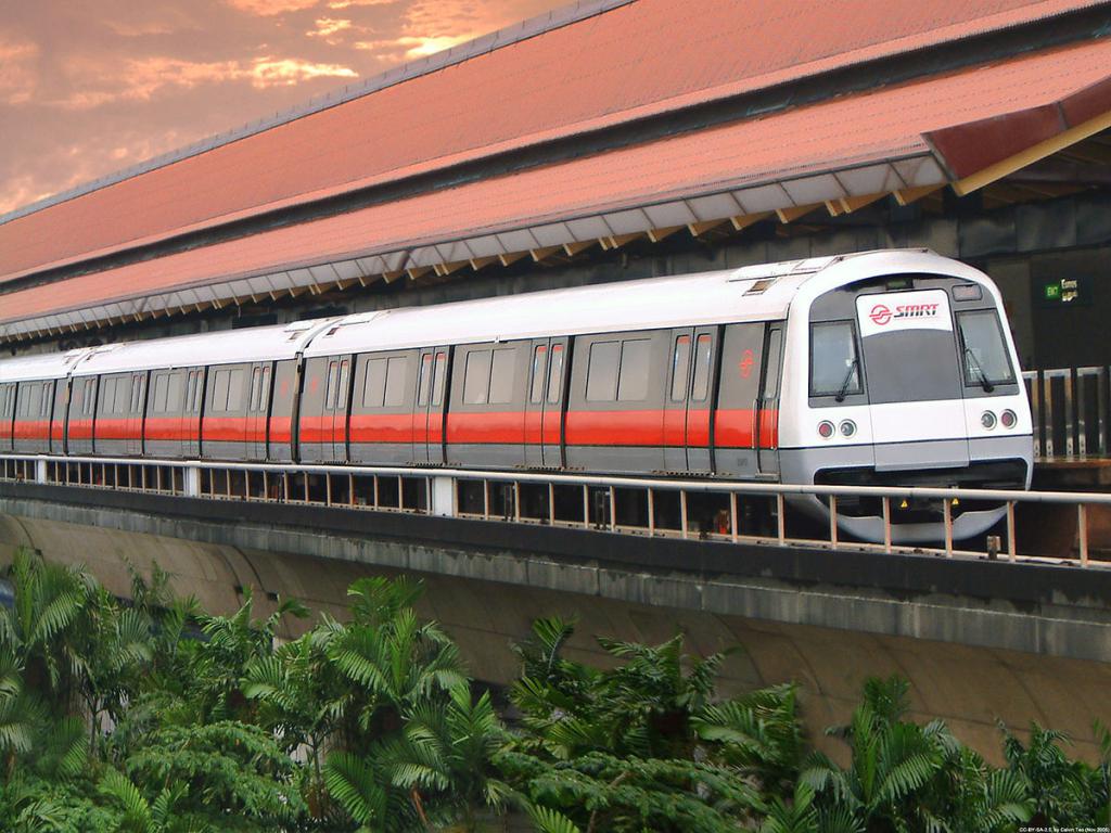 Поезд в Сингапуре