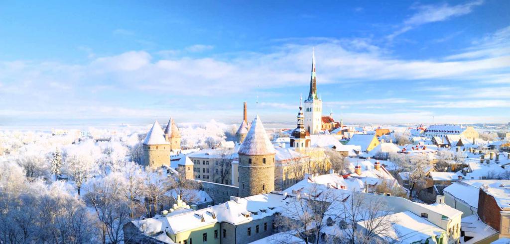Зимний Таллин со стороны