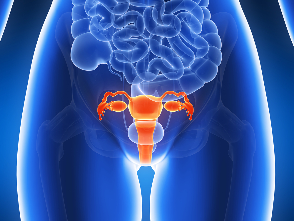 Uterine fibroids operation