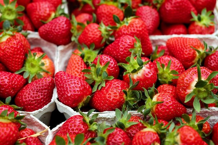 how to feed strawberries in the spring for harvest