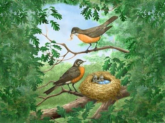 Цветной рисунок гнезда с птицами