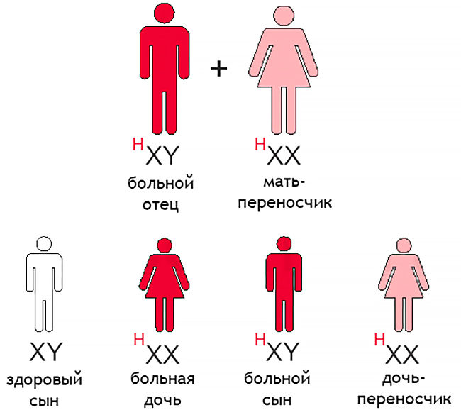 Гемофилия схема наследования признака