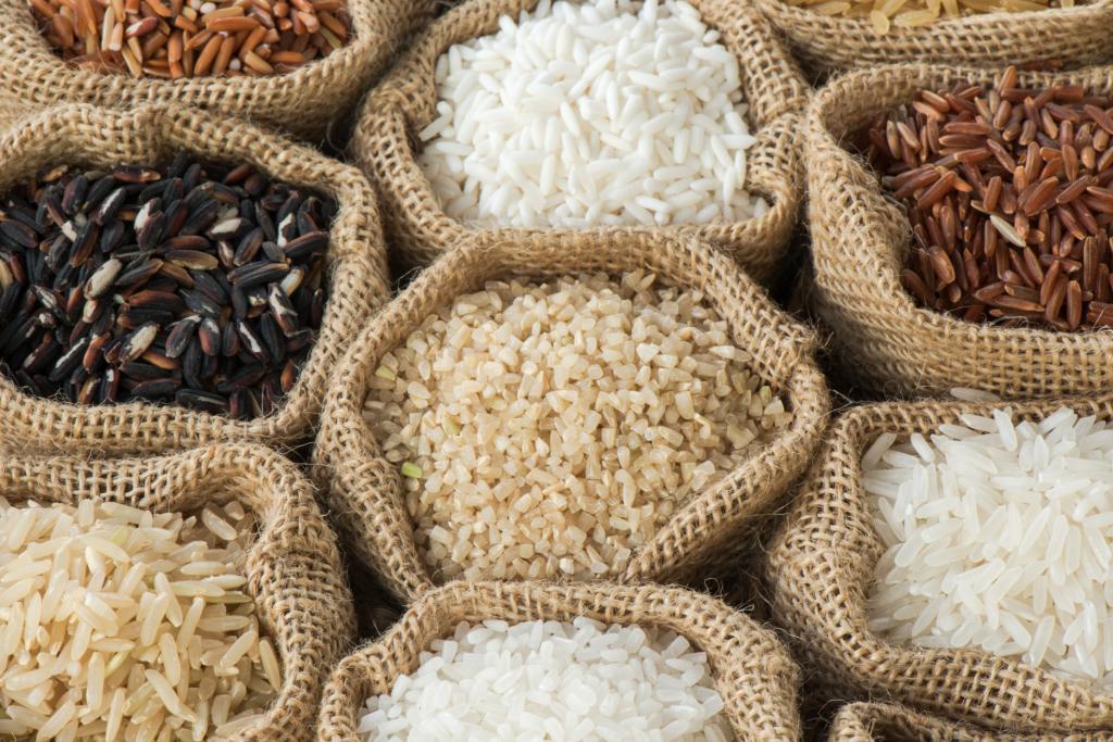 rice varieties