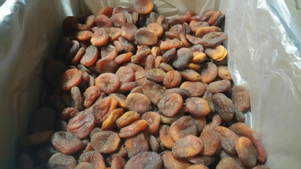 making dried apricots