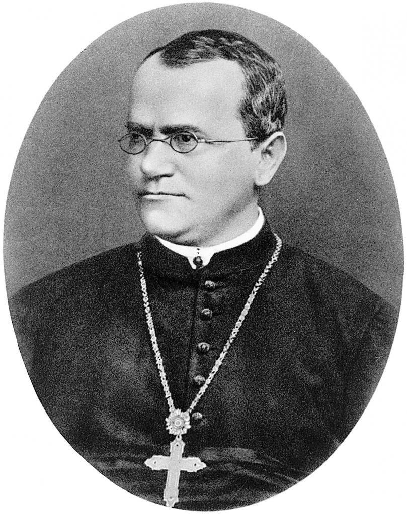 Gregor Mendel. Founder of genetics