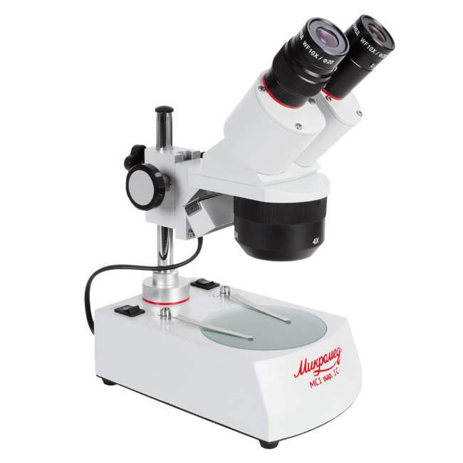 Binocular microscope