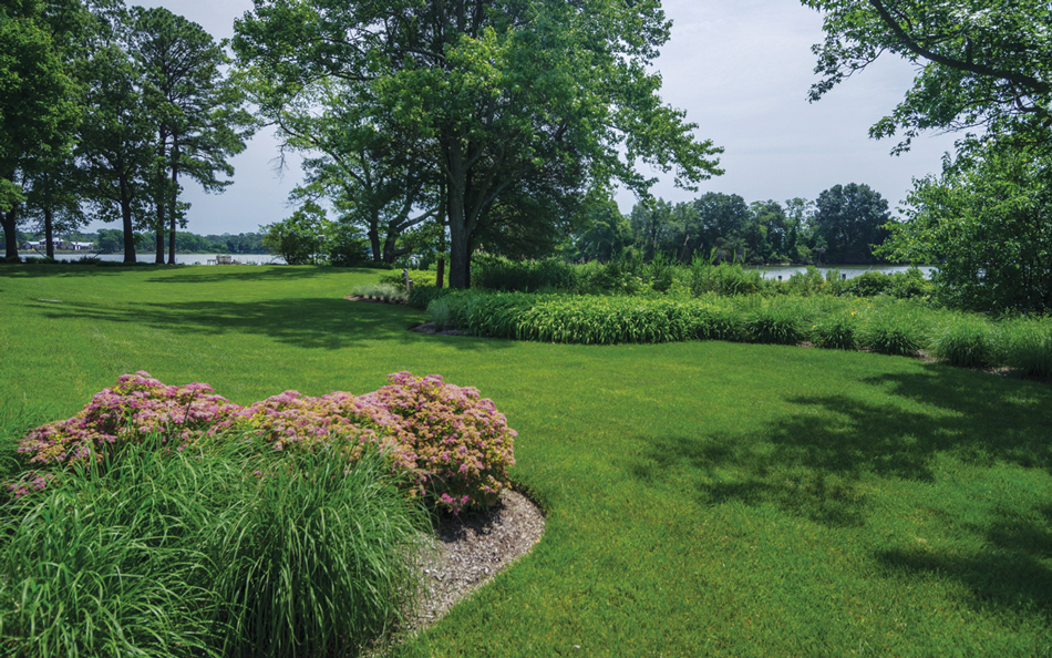 How to arrange a site on the banks of a river or lake