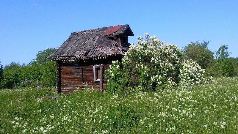 заброшенный дом в Костромской области