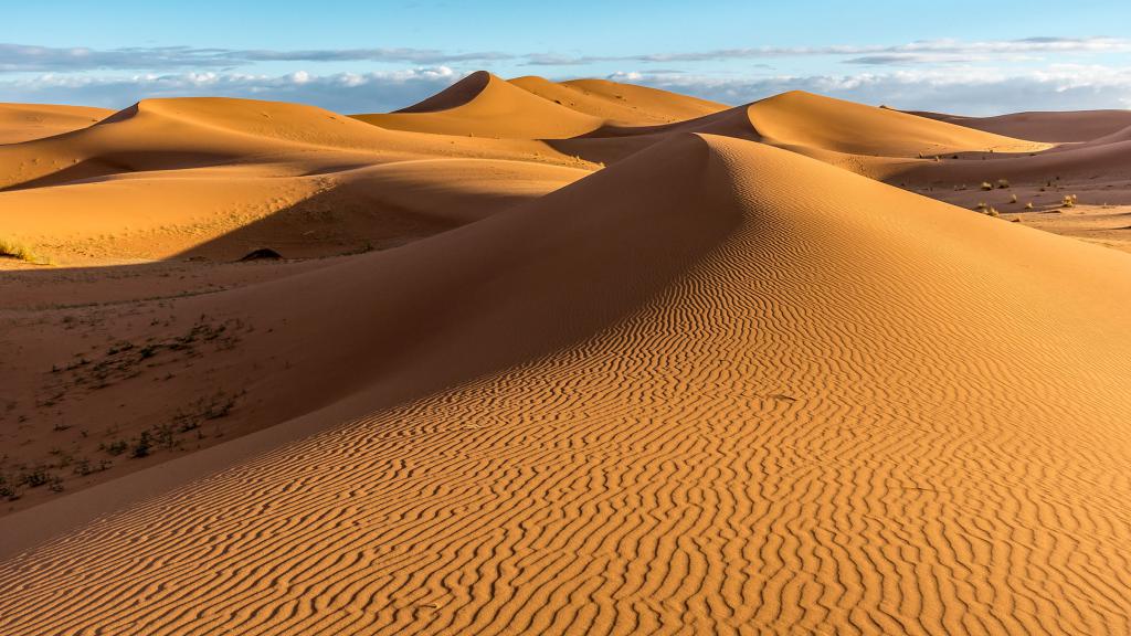 Желтые пески Сахары