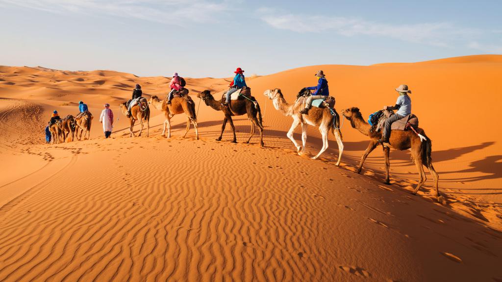 Camel Caravan in Western Sahara