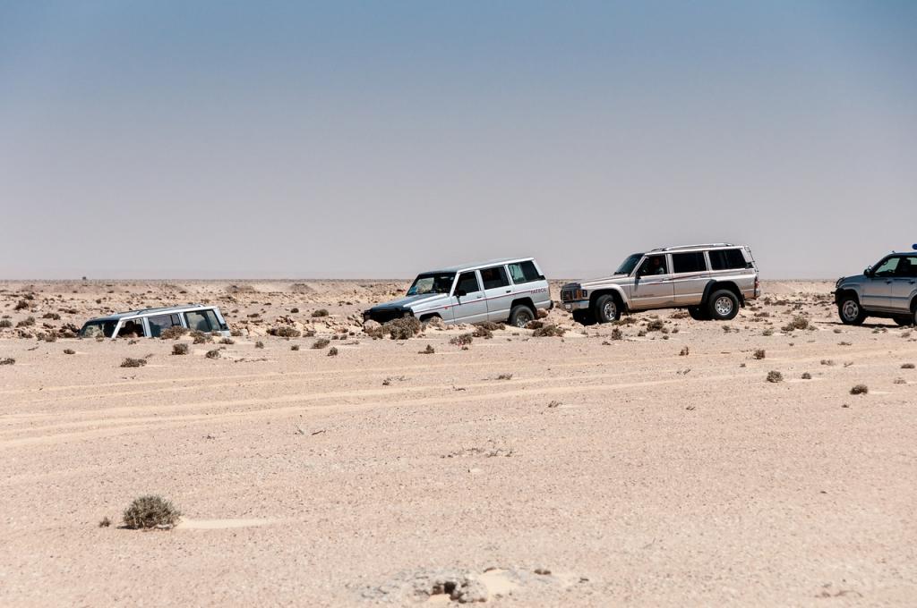 На машинах по Сахаре