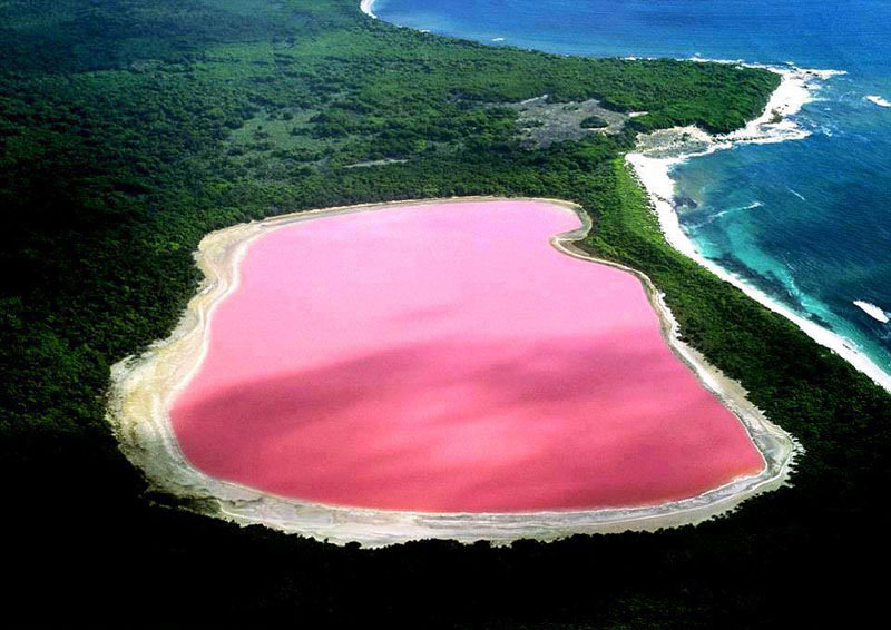 Розовое озеро - исключение