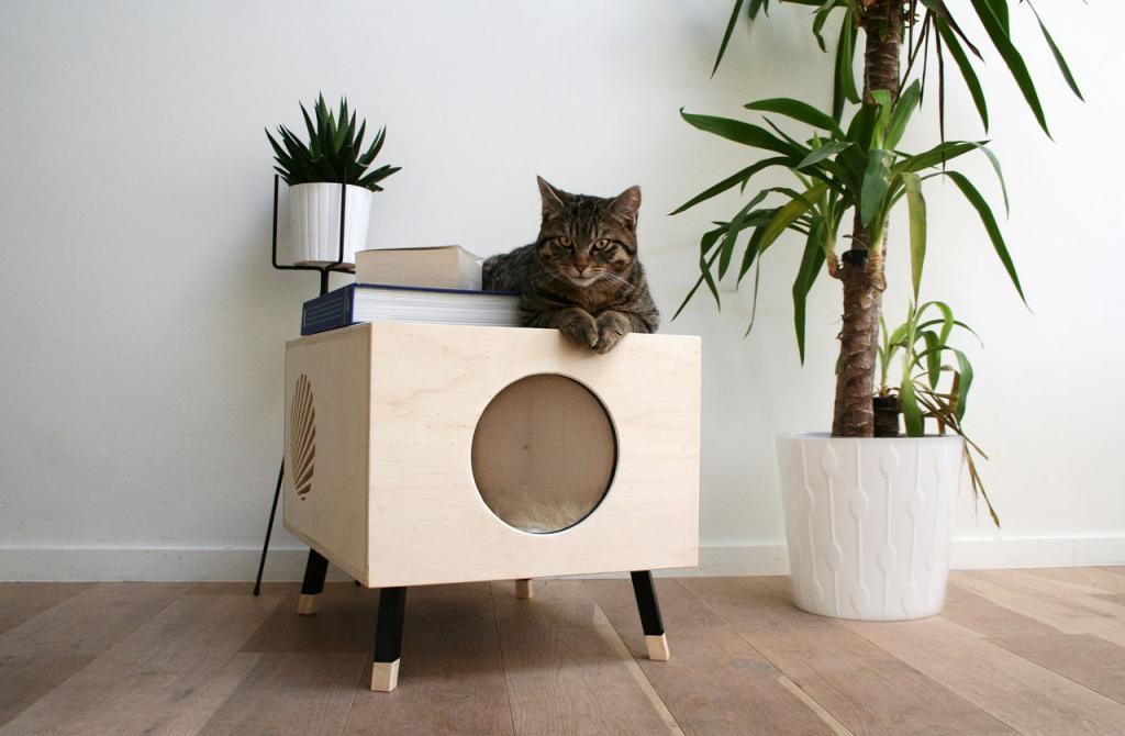 квадратный кошкин дом
