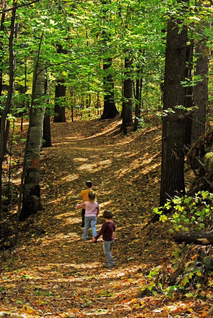дети на прогулке в лесу