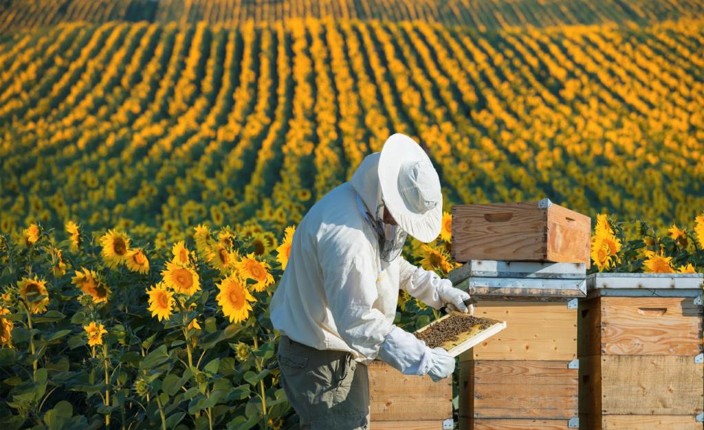 пасека пчеловодство