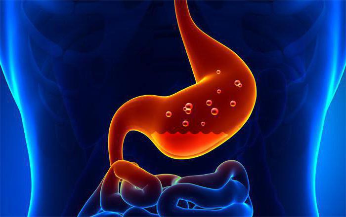diet for gastritis in the stage of exacerbation of the menu