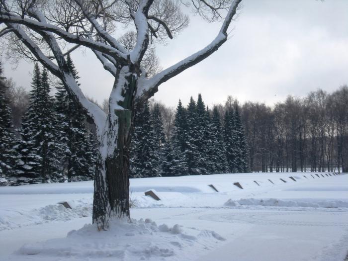 Piskarevsky Memorial