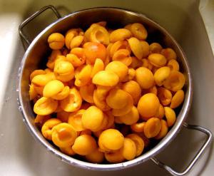 apricot compote