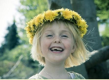 dandelion wreath photo