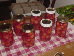 apples soaked in a jar