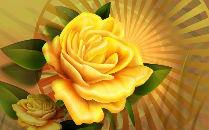 what yellow roses give