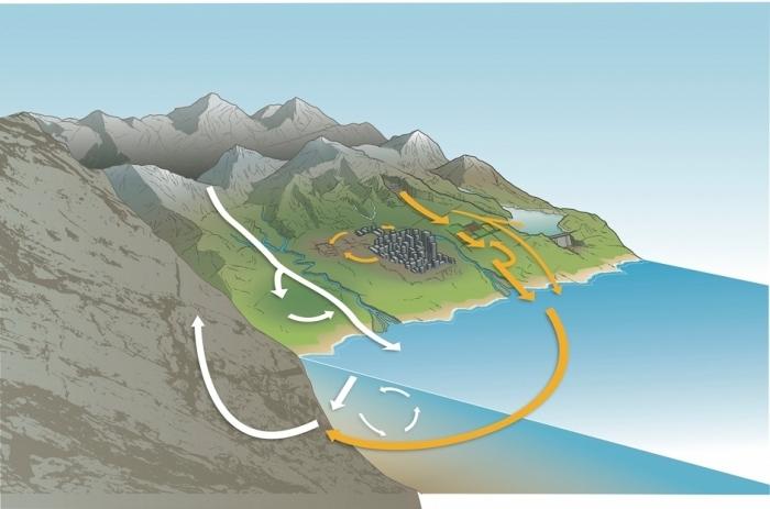 phosphorus cycle in nature