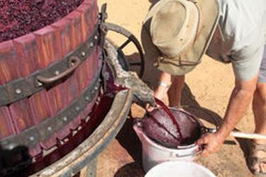 Как ставить домашнее вино из винограда