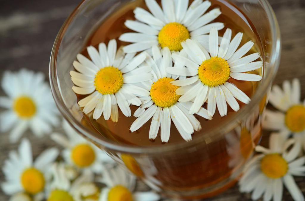 chamomile broth