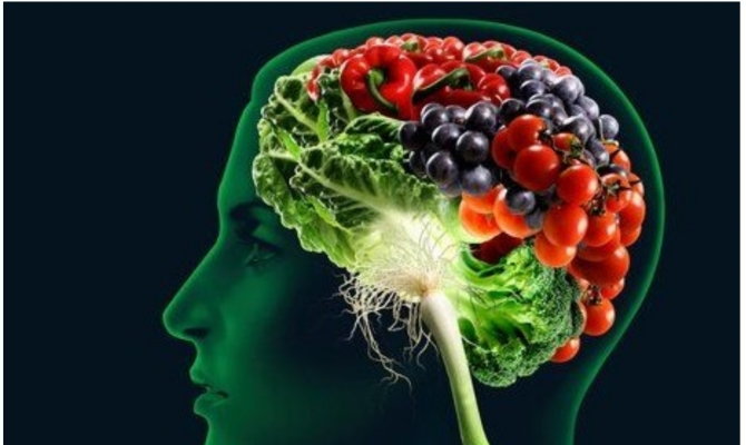 овощи и фрукты в мозге
