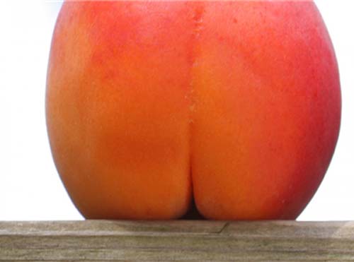 Гладкий персик