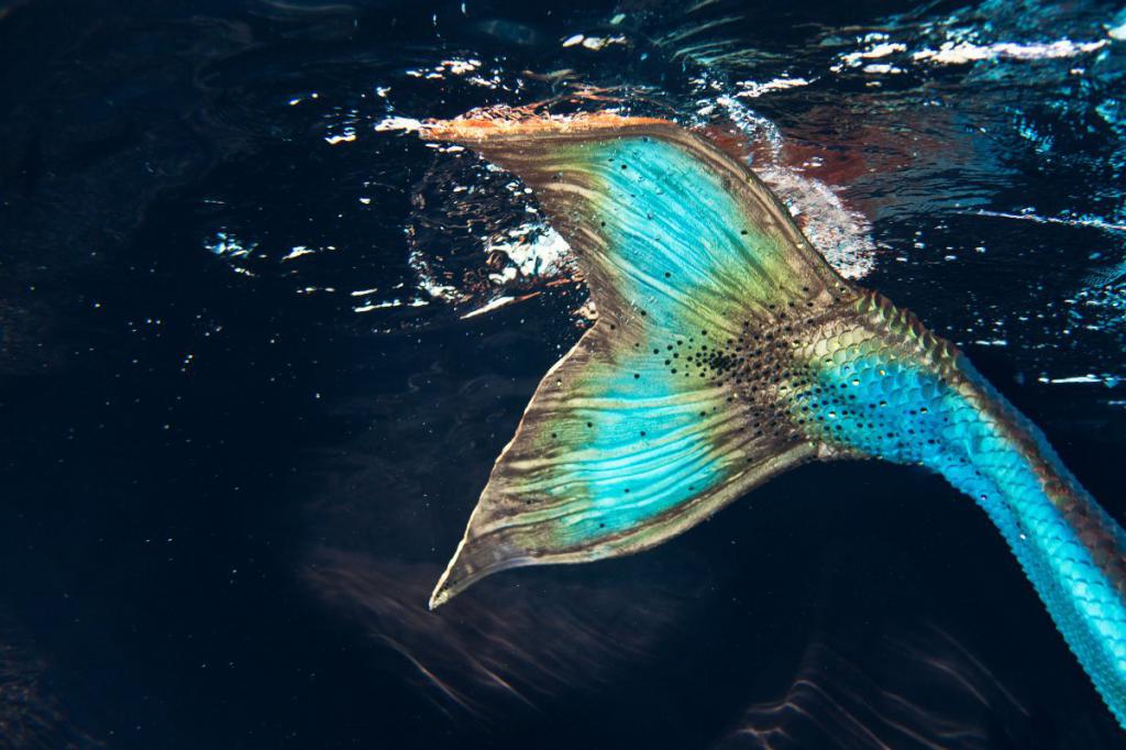Морская русалка животное фото