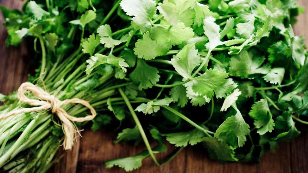 Fragrant cilantro.