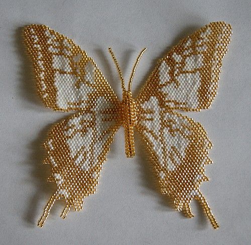 Golden butterfly