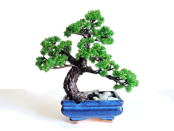 Green bonsai