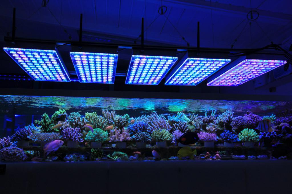лампы для аквариума