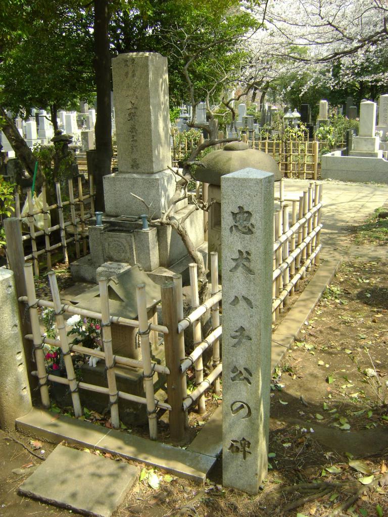 Grave of the faithful dog