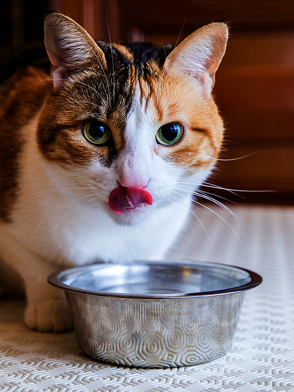 Eating at home