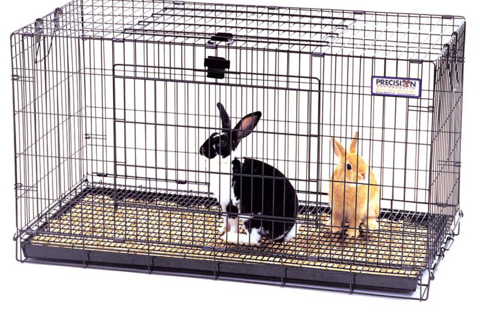 Клетка для кроликов