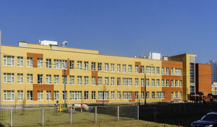 Школа 31 тольятти фото