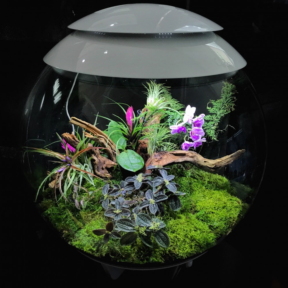 Круглый аквариум