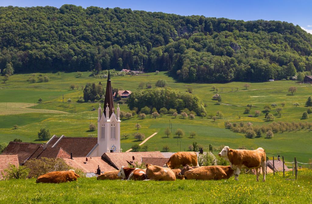 Монастырь в Швейцарии