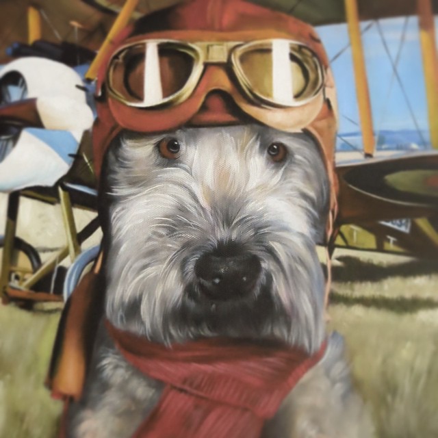 собака в форме пилота