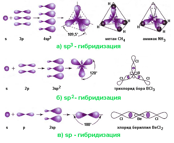 The main types of hybridization