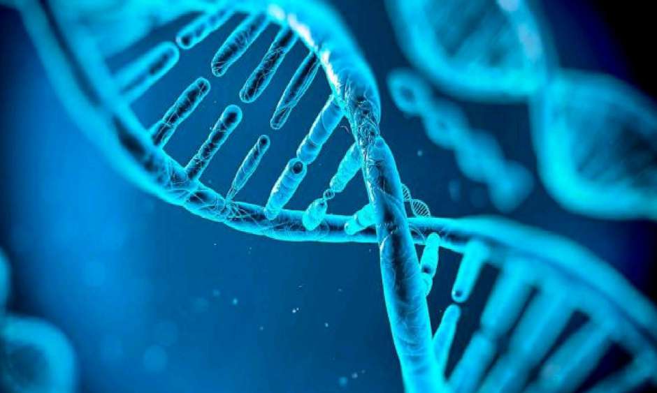 Где сделать ДНК тест на отцовство Генетическая лаборатория в Москве 