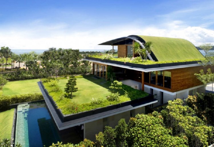 beautiful green roof