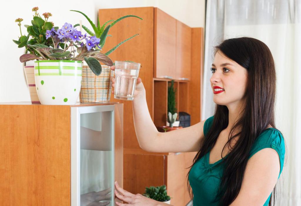 Watering flowers