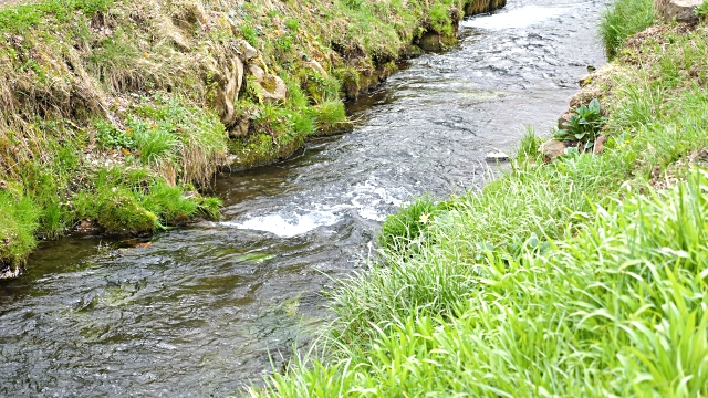 Плавное течение реки