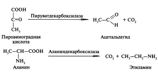 two reactions involving liasis