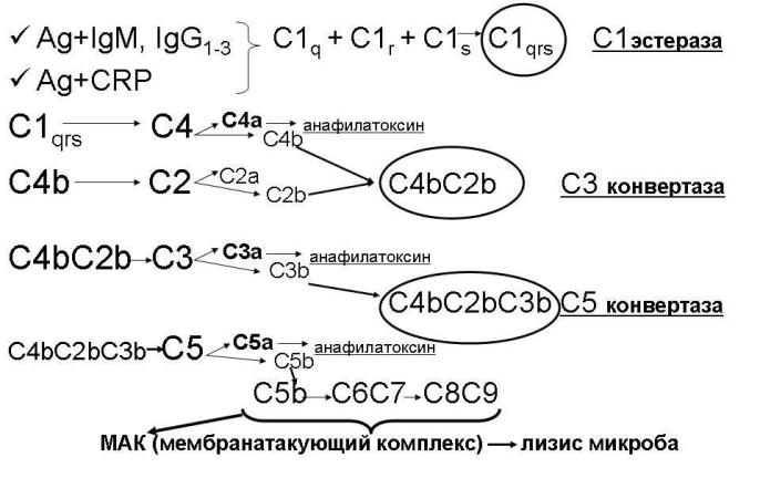 активация по классическому пути