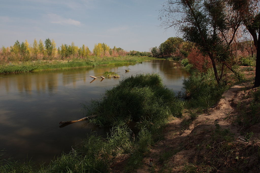 природа реки Илек